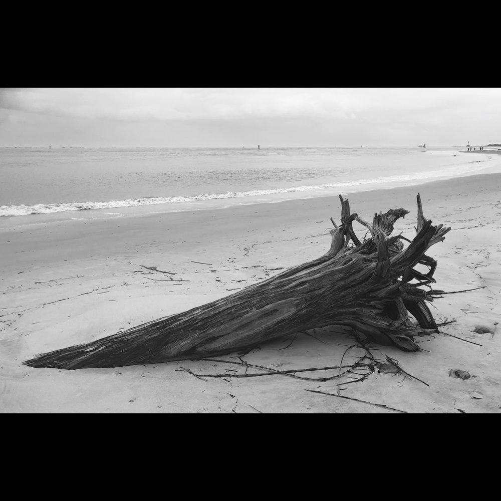 Meet your Posher, Nette